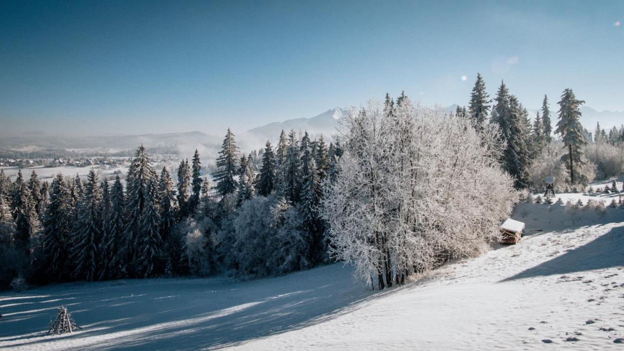 Willa Pachowka - Tam, Gdzie Natura Spotyka Sie Z Nowoczesnoscia Bukowina Tatrzańska Dış mekan fotoğraf