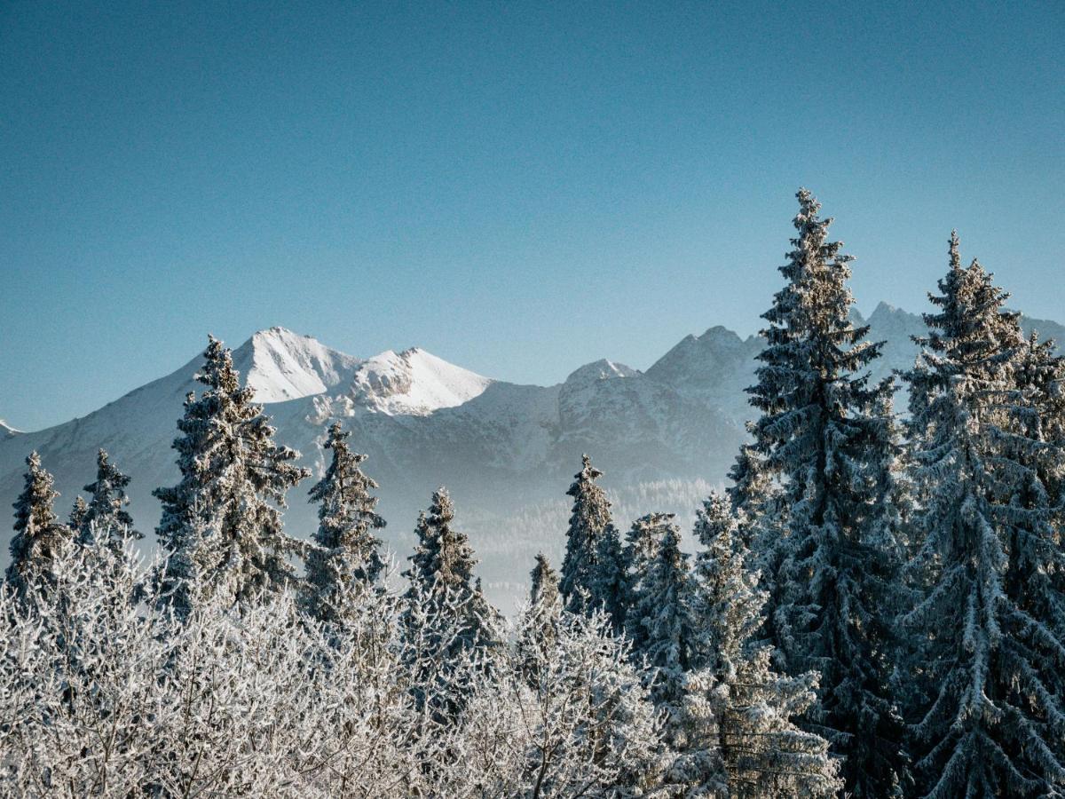 Willa Pachowka - Tam, Gdzie Natura Spotyka Sie Z Nowoczesnoscia Bukowina Tatrzańska Dış mekan fotoğraf